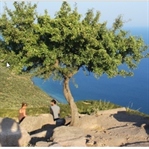 Eşsiz Koyları İle Çanakkale Assos Gezilecek Yerler