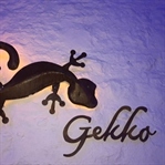 Gekko Bodrum