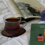 Kabuk - Zeynep Kaçar