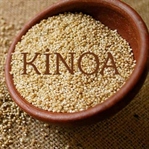 Kinoa Tohumu Nedir? Kinoa Hakkında Her Şey..