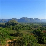 Küba’nın Yeşil Vadisi; Vinales