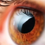 İlk Lens Deneyimi – Hangi Marka Lens ve Solüsyon?