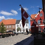 Ribe