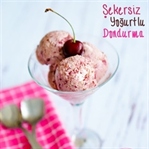 Şekersiz Yoğurtlu Dondurma