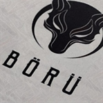 Yeni bambaşka bir dizi... BÖRÜ