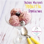 Yoğurtlu Dondurma
