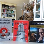 D&R 9.90 Kampanyasından...