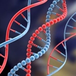DNA’yı Kim Buldu
