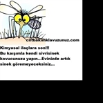 DOĞAL SİVRİSİNEK KOVUCU TARİFİ