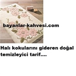 HALI KOKULARINI GİDEREN DOĞAL TEMİZLEYİCİ TARİF