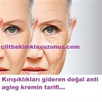 KIRIŞIKLIK GİDEREN ANTİ AGİNG KREM TARİFİ