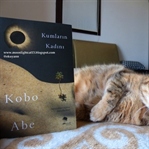 Kumların Kadını - Kobo Abe