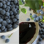 Oregon Üzümü Reçeli (Oregon Grape Jam)