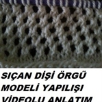 SIÇAN DİŞİ ÖRGÜ NASIL YAPILIR VİDEOLU