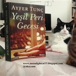 Yeşil Peri Gecesi - Ayfer Tunç