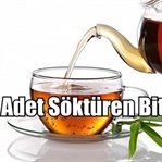 Adet Söktüren Bitkiler