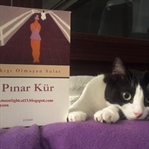 Akışı Olmayan Sular - Pınar Kür