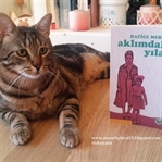 Aklımdaki Yılan - Hatice Meryem