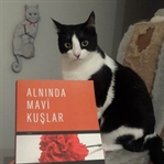 Alnında Mavi Kuşlar - Aysel Özakın