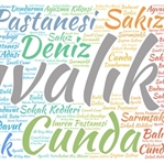 Ayvalık'ta Gezilecek Yerler