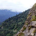 Çabucak Geçen Tatil, Karadeniz Turu