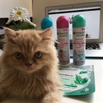 Garnier Mineral Deodorant Serisi