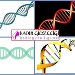 Genetik Kaderinizi Nasıl Değiştirebilirsiniz?