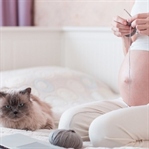 Hamilelikte Kedi Beslemek zararlı mıdır?