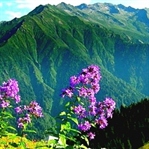 Karadeniz'de Aşk