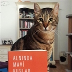 Okuma Halleri, Fotoğraflarla * Alnında Mavi Kuşlar