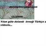 YILAN GÜLE DOLANDI ÖRGÜ MODELİ ANLATIMI
