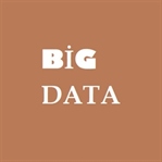 BIG DATA NEDİR