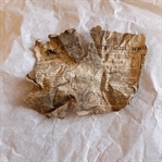 BUCKINGHAM SARAYI 130 YIL ÖNCE