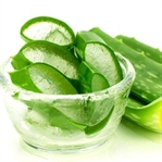 Aloe vera bakımı ve faydaları