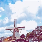 Amsterdam'ın Diğer Yüzü