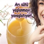 Arı sütü faydaları ile yaşlanmaya son!