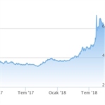 Dolar Türk Ekonomisini Neden Bu Kadar Etkiliyor?