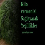 Kilo vermenizi Sağlayacak Yeşillikler