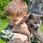 MUCİZE VARLIKLAR: KEDİLER