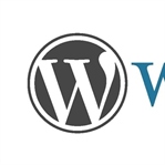 WordPress Menü Ekleme Sorunu Çözüldü