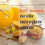 Bal Mumu Nedir? Nereden Alınır ?