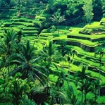 Bali, Endonezya’da Yapmanız Gerekenler
