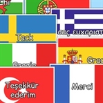 Blogger ve HTML Siteye Bayraklı Çoklu Dil Ekleme