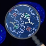 Hücrelerde Yeni DNA Yapısı Gözlendi