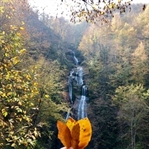Kuşların göç yolundaki mola yeri; Gölyaka