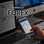 Reklamlarda Sık Gördüğünüz Forex Nedir ?