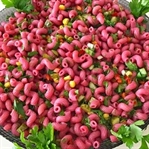 RENKLİ MAKARNA SALATASI TARİFİ
