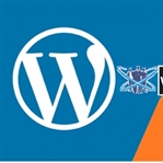 Wordpress mi Blogger mı - Avantaj ve Dezavantajlar