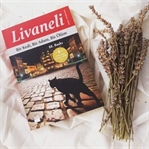 Zülfü Livaneli / Bir Kedi Bir Adam Bir Ölüm Kitap