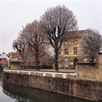 Pastel Asalet Strasbourg